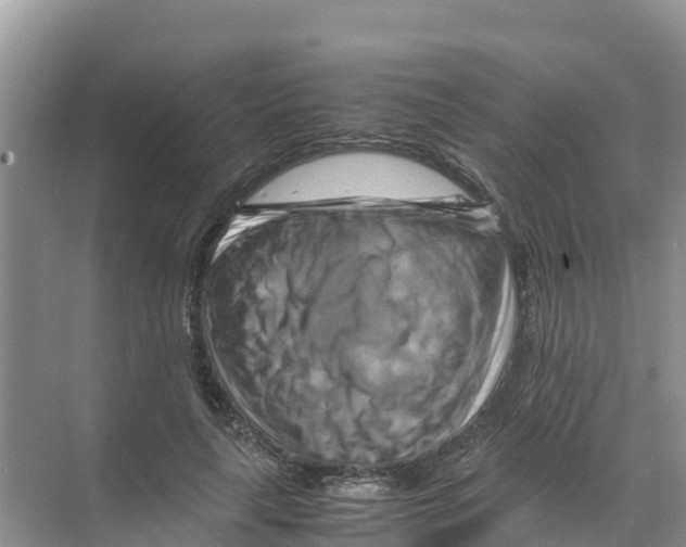 X0000070190643200606232014