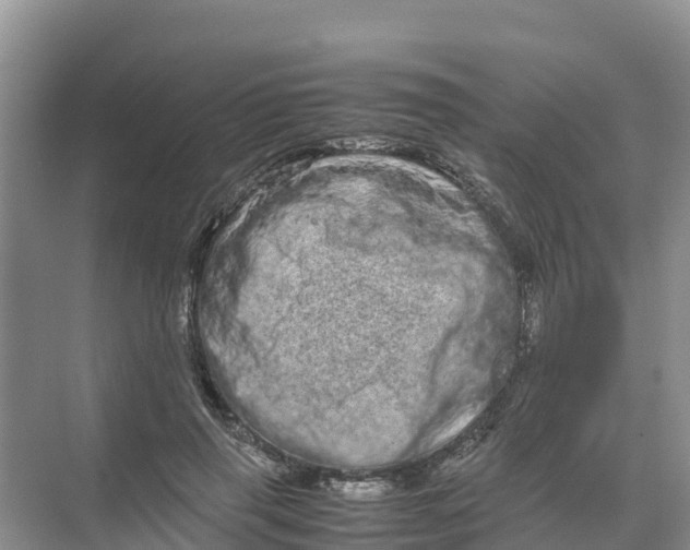 X0000070190645200606232014