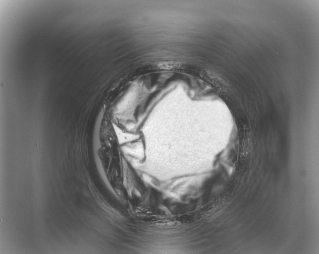 X0000070190646200606232014