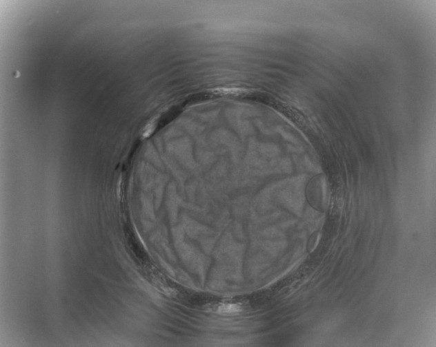 X0000070190647200606232014