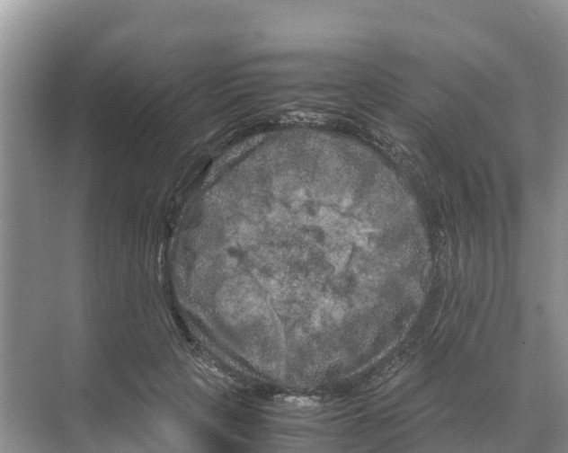 X0000070190649200606232014