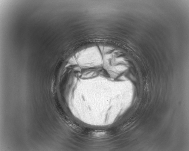 X0000070190651200606232014