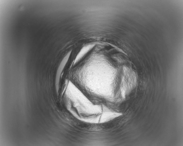 X0000070190656200606232014