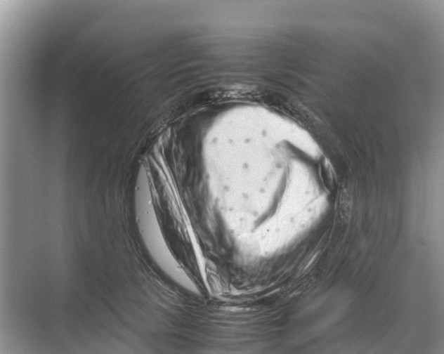 X0000070190657200606232014