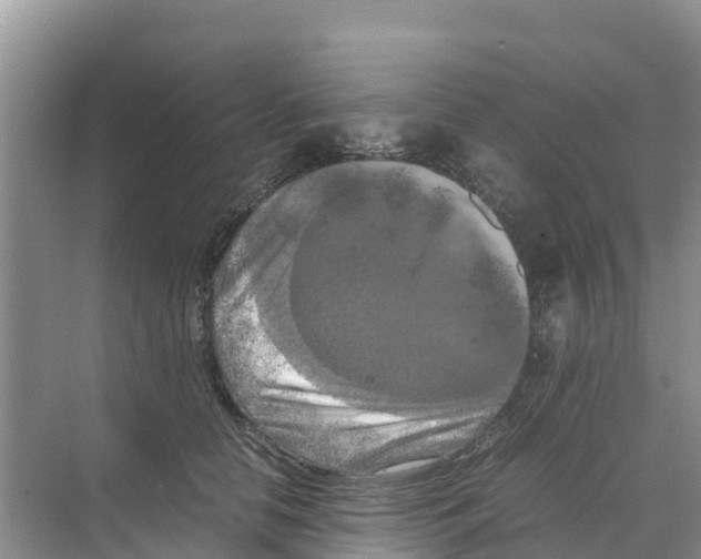 X0000070190658200606232014