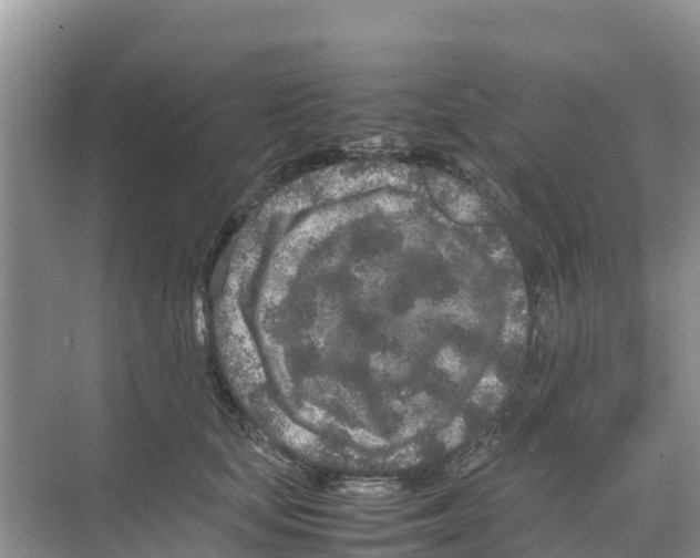 X0000070190659200606232014