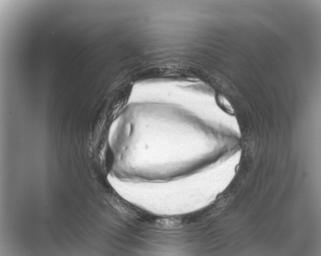 X0000070190660200606232014