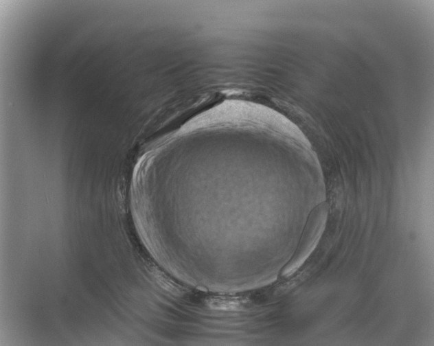 X0000070190661200606232014