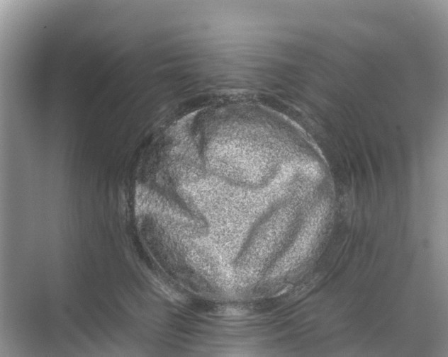 X0000070190662200606232014