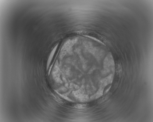 X0000070190664200606232014