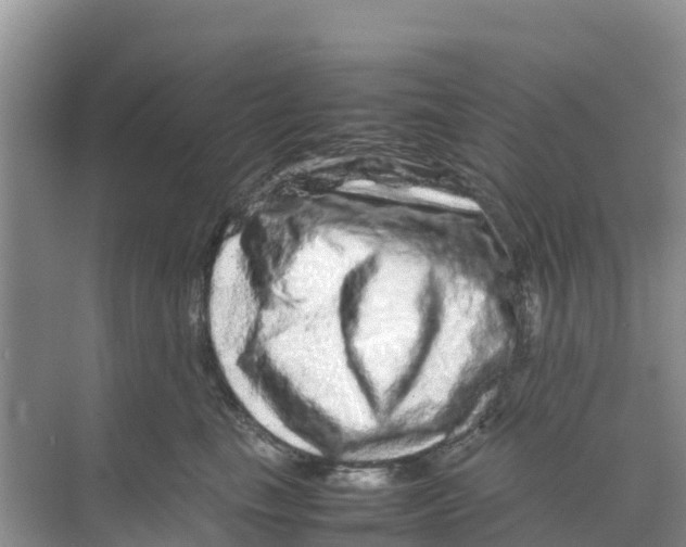 X0000070190665200606232014