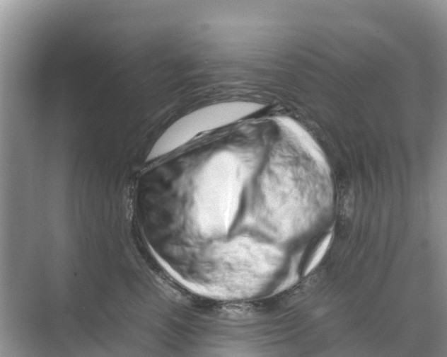 X0000070190666200606232014