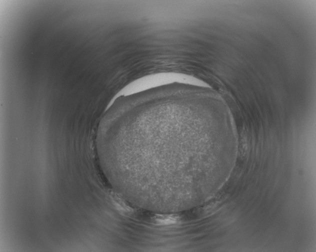 X0000070190667200606232014