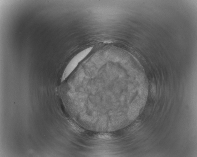 X0000070190668200606232014