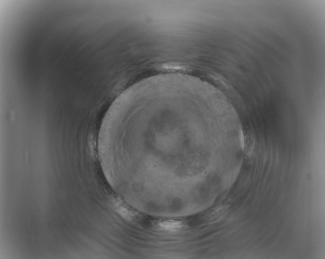 X0000070190669200606232014