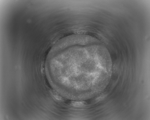 X0000070190671200606232014