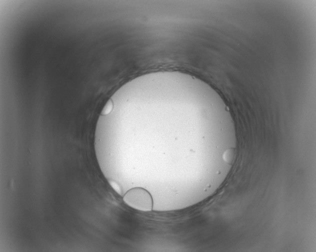 X0000070190672200606232014