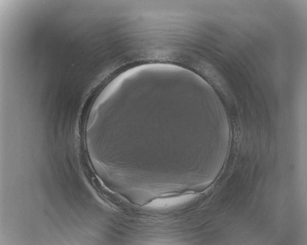 X0000070190674200606232013