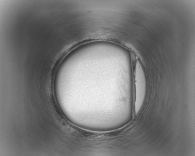 X0000070190675200606232013