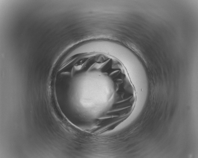 X0000070190676200606232013