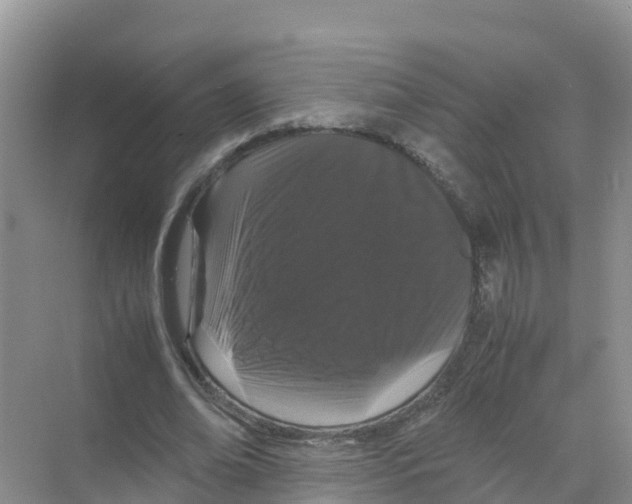 X0000070190678200606232013