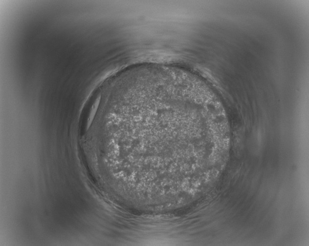 X0000070190679200606232013