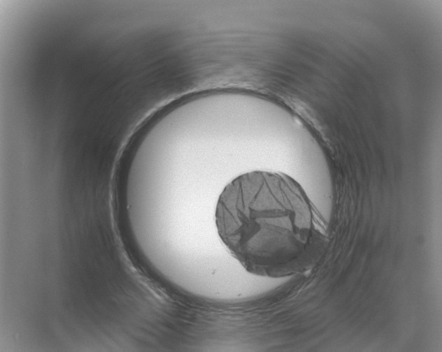 X0000070190680200606232013