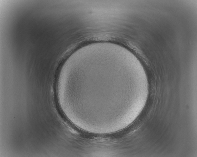 X0000070190681200606232013