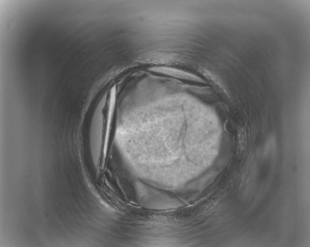 X0000070190682200606232013