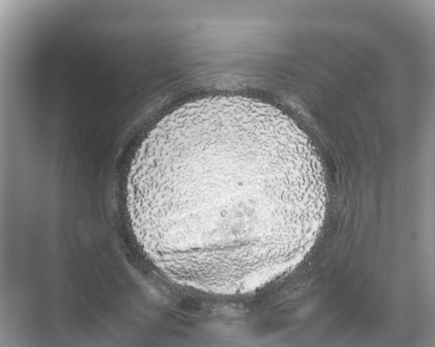 X0000070190683200606232013