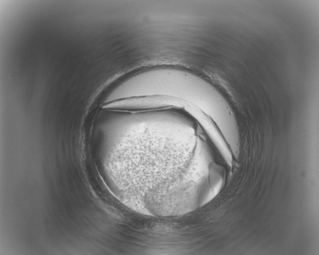 X0000070190684200606232013