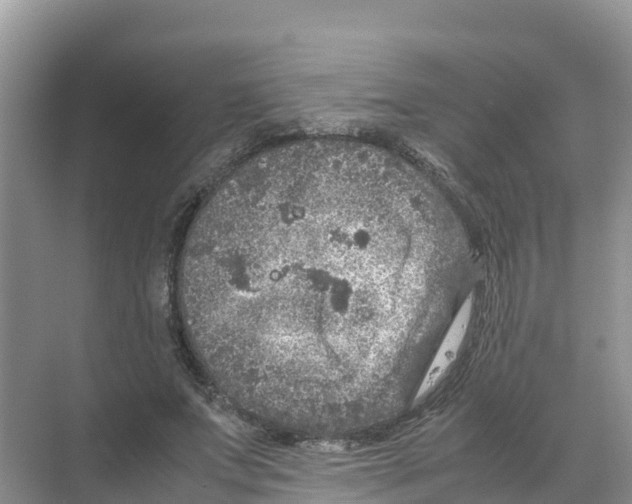 X0000070190687200606232013