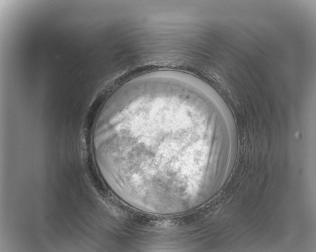 X0000070190688200606232013