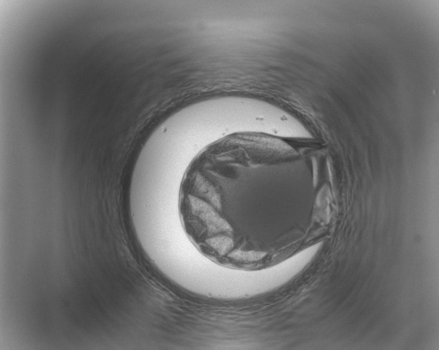 X0000070190689200606232013