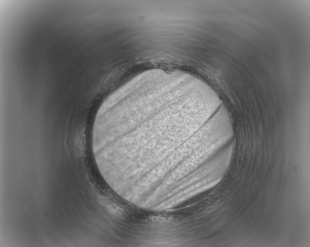 X0000070190690200606232013