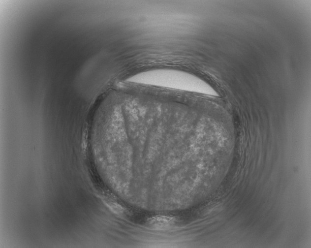 X0000070190691200606232013