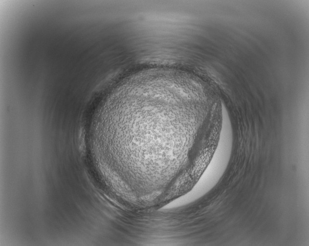 X0000070190692200606232013