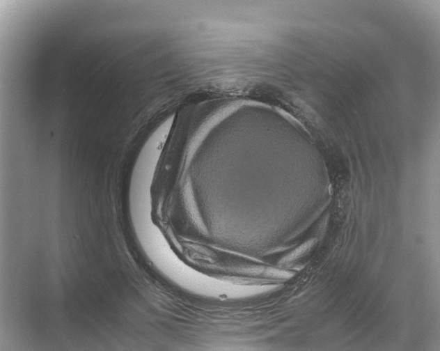 X0000070190693200606232013