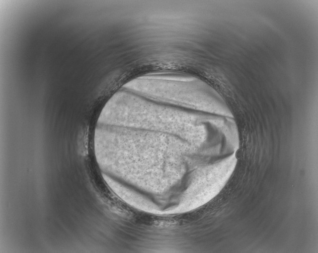 X0000070190694200606232013