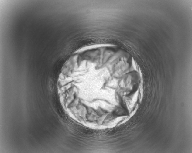 X0000070190695200606232013