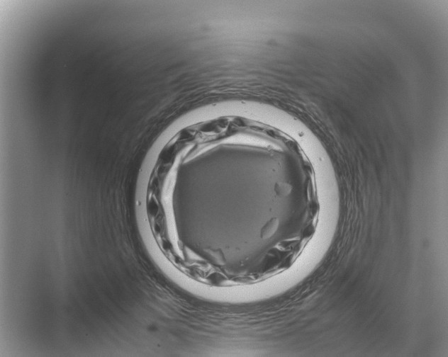 X0000070190697200606232013