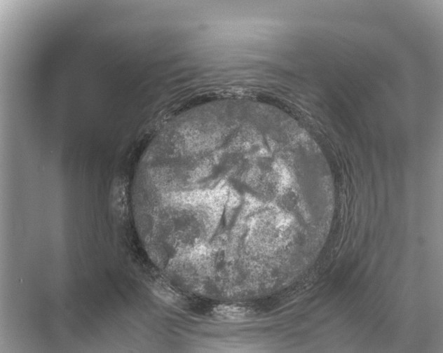 X0000070190699200606232013