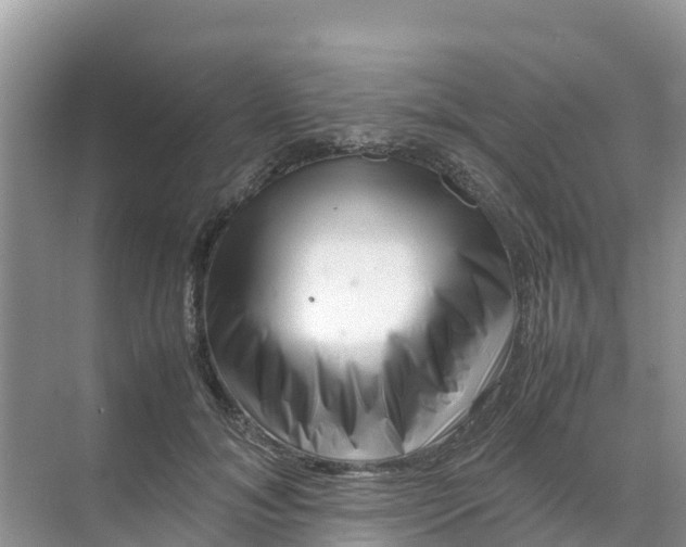 X0000070190700200606232013