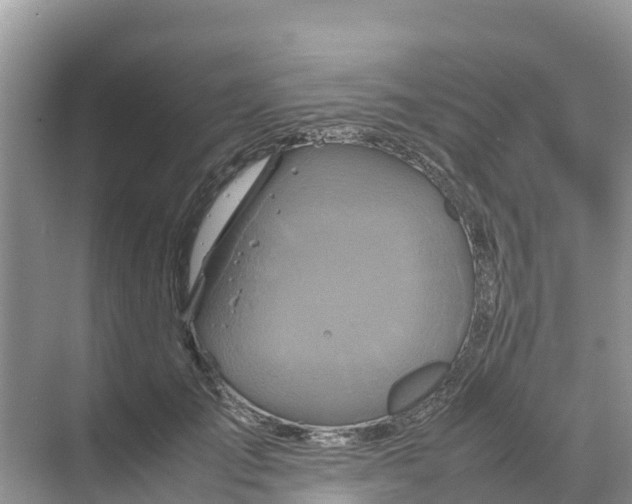 X0000070190701200606232013