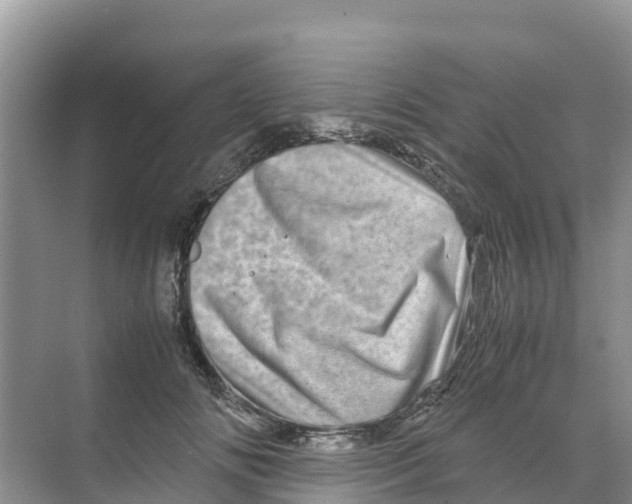 X0000070190702200606232013