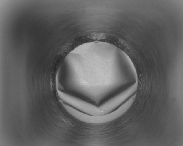 X0000070190704200606232013