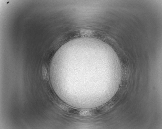 X0000070190705200606232013