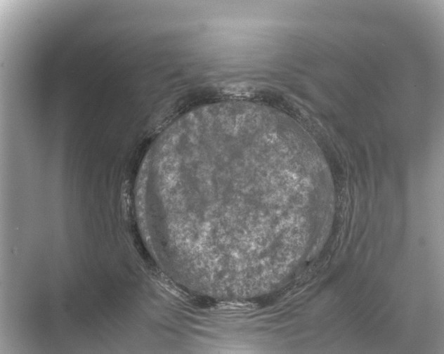 X0000070190707200606232013