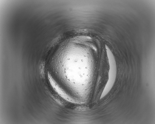 X0000070190708200606232013