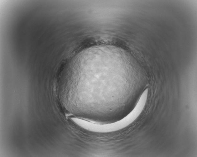 X0000070190709200606232013